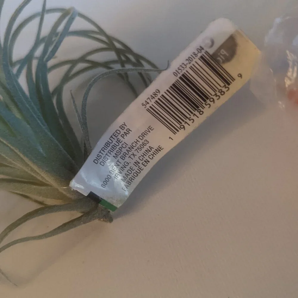 NWT Ashland 2 Spiky Tropical Cabbage Succulent Stems Faux Floral Decor Michael's